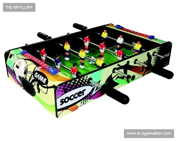 探秘Playmobil儿童足球玩具的世界